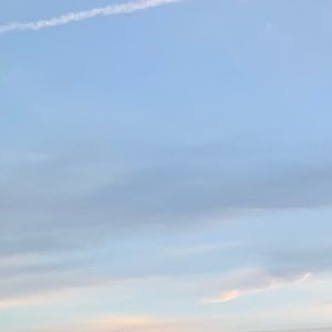 Meet your Posher, Lola